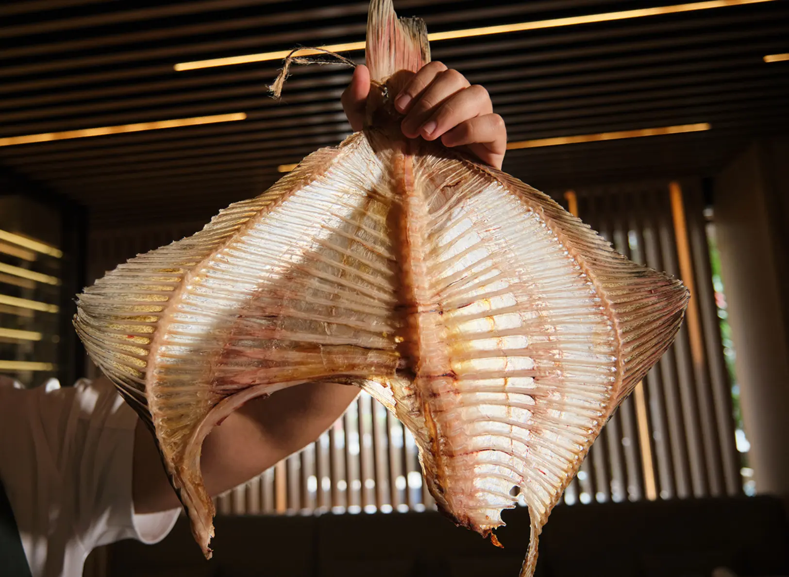 Getrockneter Zackenbarschrücken im Fusion19 Mallorca, einem mit einem Michelin-Stern ausgezeichneten Restaurant